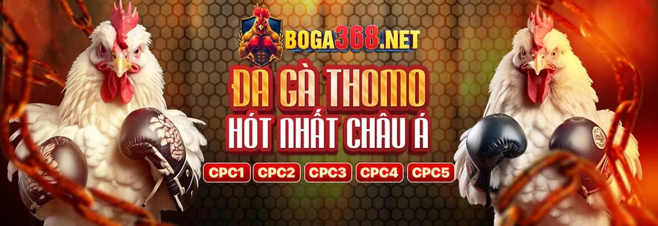 Bình Luận Viên Đá Gà Thomo Chuyên Nghiệp