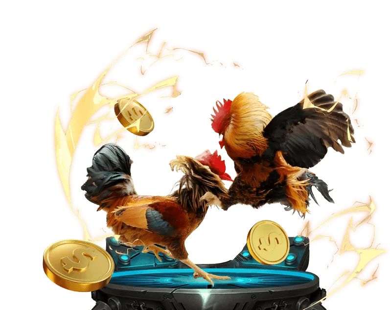 Đa dạng trận đấu và tỷ lệ cược